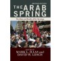The Arab Spring The Hope and Reality of the Uprisings