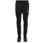 Puma Evostripe Ultimate Erkek Eşofman Altı 59262301