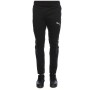 Puma Evostripe Ultimate Erkek Eşofman Altı 59262301