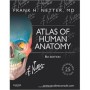 Atlas of Human Anatomy, 6th Edition Frank H. Netter