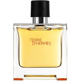 Hermes Terre D'Hermes EDT 100 Ml Tester Erkek Parfüm 24584