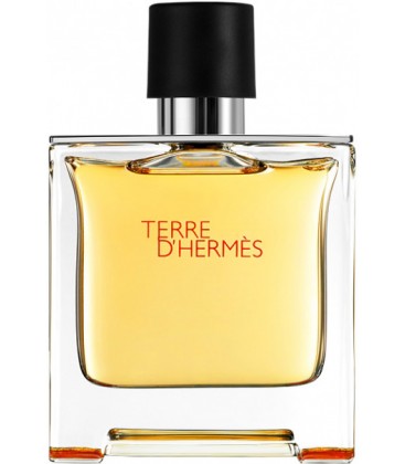 Hermes Terre D'Hermes EDT 100 Ml Tester Erkek Parfüm 24584