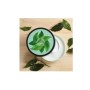 The Body Shop Fujı Green Tea Vücut Kremi 200 ml
