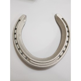 Aluminum Horseshoes Team