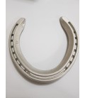 Aluminum Horseshoes Team