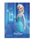 Elsa Disney Frozen A4 Notebook a nice writing pad, 40 sheets