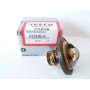 IVECO Daily Termostat 500329622