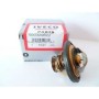 IVECO Daily Termostat 500329622