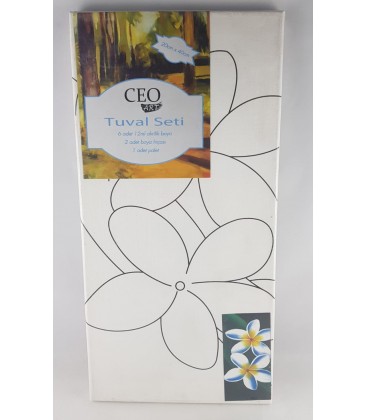Ceo Art Patterned Canvas 20 x 40 Kit (Ceo00006)