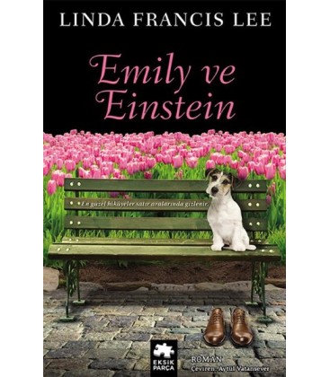 Emily ve Einstein Yazar: Linda Francis Lee