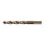 Dewalt DT5563 Metal Matkap Ucu, Extreme, 13mm, 10 Adet