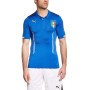 Puma Figc İtalia Home Shirt Act Erkek Forma Tişört 74428701