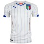 Puma Figc İtalia Away Shirt Rep Erkek Tişört 744291 02