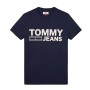 Tommy Jeans Erkek Tişört DM0DM02192002
