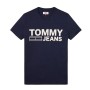 Tommy Jeans Erkek Tişört DM0DM02192002