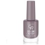 Golden Rose Color Expert Oje 108