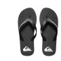 Quiksilver Erkek Terlik Molokai Flip-Flops AQYL100601-XKKW