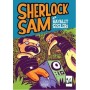 Sherlock Sam ve Hayalet Sesleri - A. J. Low - Nemesis Çocuk