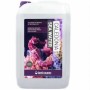 Reeflowers Caledonia Sea Water 20 lt - Hazır Deniz Suyu