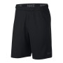 Nike Dri-Fit Short 4.0 Erkek Şort 890811-010