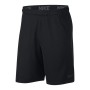 Nike Dri-Fit Short 4.0 Erkek Şort 890811-010