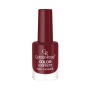 Golden Rose Color Expert Oje 79