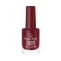 Golden Rose Color Expert Oje 79