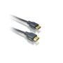 Philips SWV5401H 4K Destekli 1,8m HDMI Gold Kablo