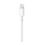 Apple iPhone Orjinal USB Şarj Kablosu