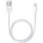 Apple iPhone Orjinal USB Şarj Kablosu