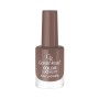 Golden Rose Color Expert Oje 72