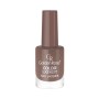 Golden Rose Color Expert Oje 72