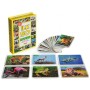 İlk 50 Hayvan Flash Kartları Diytoy
