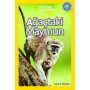 Ağaçtaki Maymun - National Geographic Kids