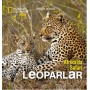 National Geographic Kids - Afrika'da Safari Leoparlar