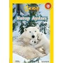 National Geographic Kids - Kutup Ayıları