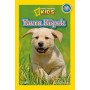 National Geographic Kids - Okul Öncesi Yavru Köpek