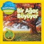 National Geographic Kids - Bir Ağaç Büyüyor