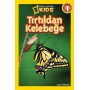 National Geographic Kids - Tırtıldan Kelebeğe