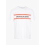 Calvin Klein Erkek Beyaz Tişört J30J312592