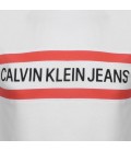 Calvin Klein Erkek Tişört J30J312592