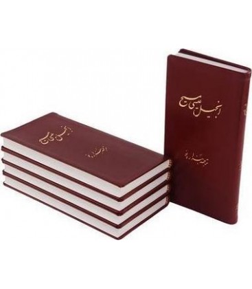 The New Testament in Persian, New Millennium Version 2014 - Farsça Yeni Ahit, Yeni Binyıl Sürümü 2014