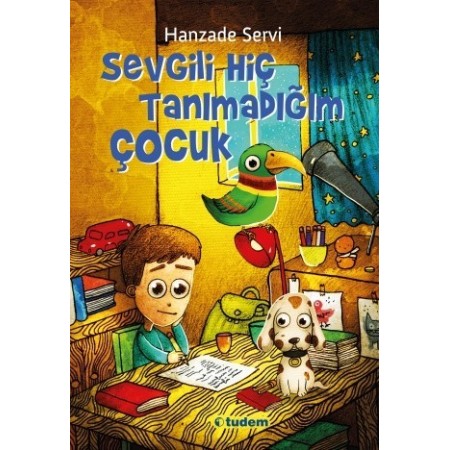 Sevgili Hiç Tanımadığım Çocuk - Hanzade Servi - Tudem Yayınları