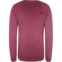 The North Face Kadın Sweatshirt NF0A3XZJ38X