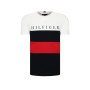 Tommy Hilfiger Organik Cotton Erkek Tişört MW0MW14315