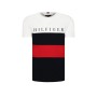 Tommy Hilfiger Organik Cotton Erkek Tişört MW0MW14315