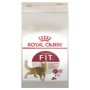 Royal Canin FIT 32 Yetişkin Kedi Maması 2 Kg