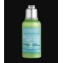 Loccitane Lait Corporel Body Lotion 50ml