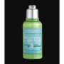 Loccitane Lait Corporel Body Lotion 50ml