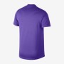 Nike M Nkct Dry Polo Blade Erkek Polo Yaka Tişört - Aq7732